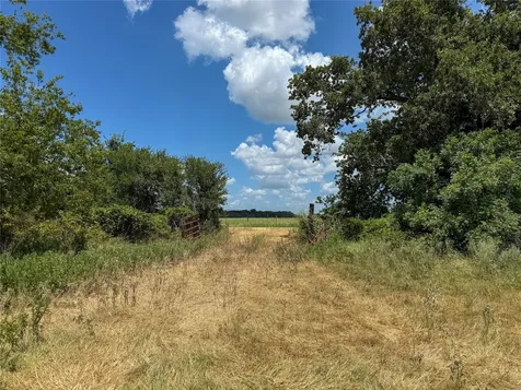 Tbd Fm 413 Kosse TX 76653