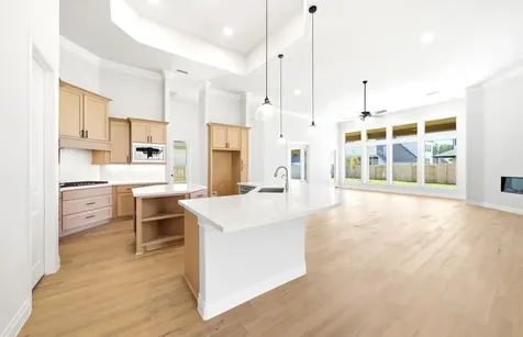 15724 Dandelion Dreams Street Conroe TX 77302