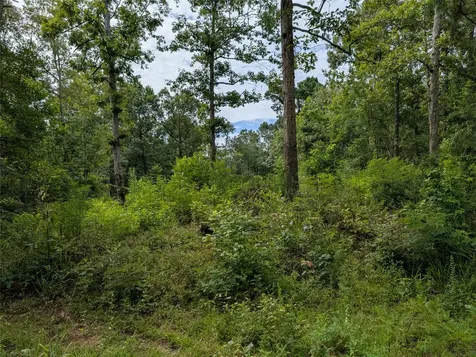 161 Ludies Drive Livingston TX 77351