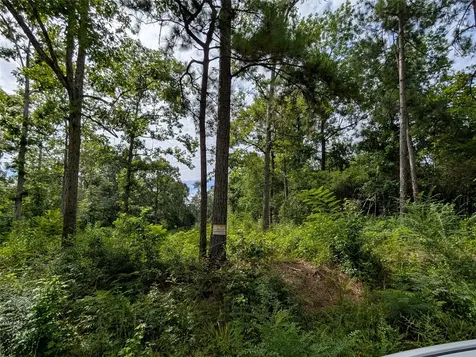 161 Ludies Drive Livingston TX 77351