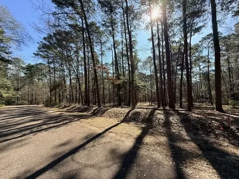 2, 220 & 7 Helena, Altwood Drive Coldspring TX 77331