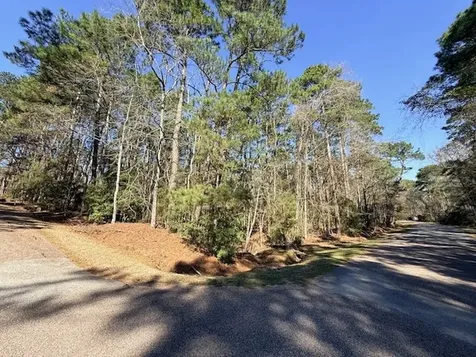 2, 220 & 7 Helena, Altwood Drive Coldspring TX 77331