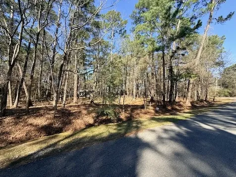 2, 220 & 7 Helena, Altwood Drive Coldspring TX 77331