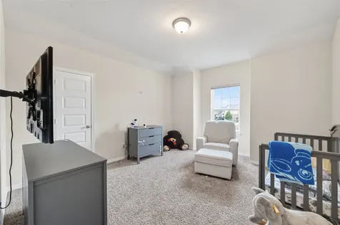 1807 Albert Glade Court Richmond TX 77469