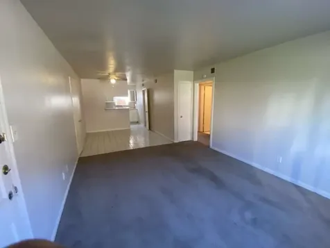 3114 Falk Court 3114 La Porte TX 77571