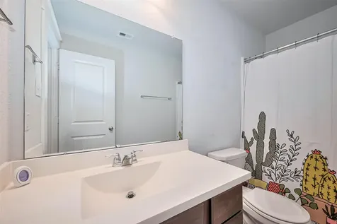 16342 Rockdale Landing Drive Hockley TX 77447