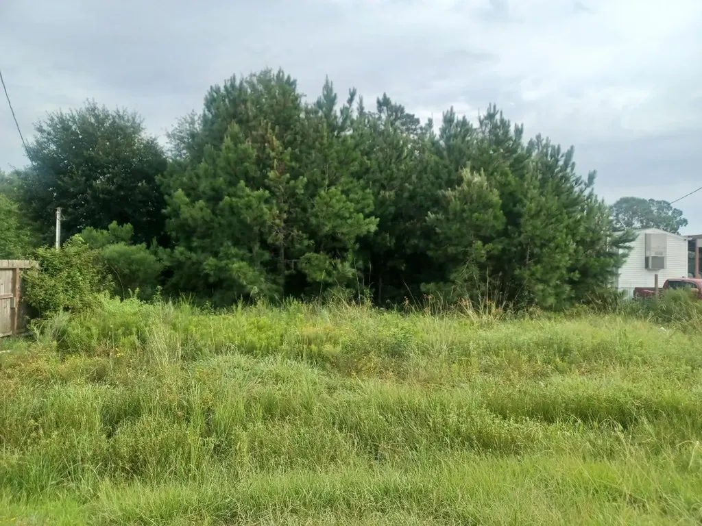 179 County Road 3550 Cleveland TX 77327