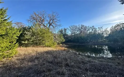 Tbd County Road 132 -21 Acres Somerville TX 77879
