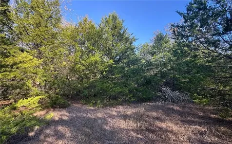 Tbd County Road 132 -21 Acres Somerville TX 77879