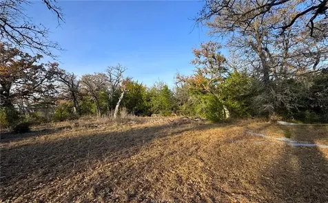 Tbd County Road 132 -21 Acres Somerville TX 77879