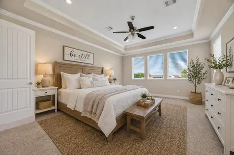 803 Lily Lane Rosharon TX 77583