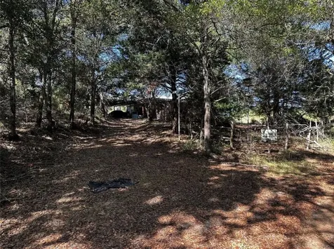 285 Private Road 3420 Jewett TX 75846