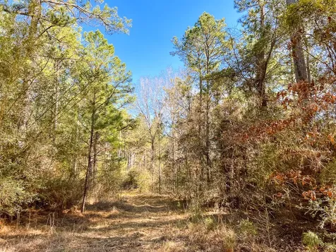 14 Union Springs Road Corrigan TX 75939