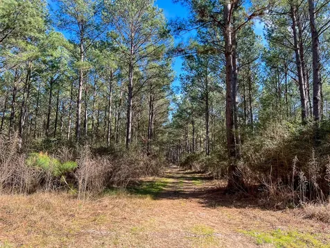 14 Union Springs Road Corrigan TX 75939