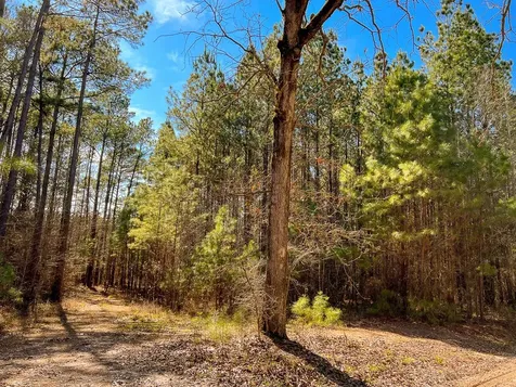 14 Union Springs Road Corrigan TX 75939