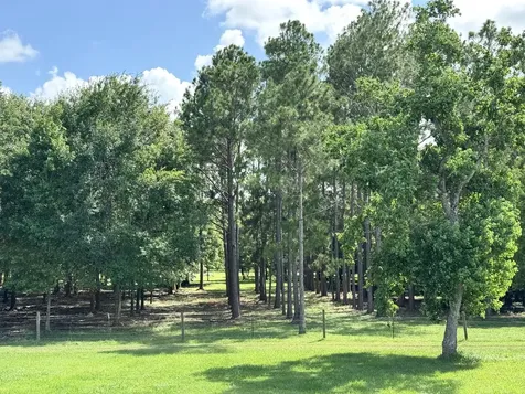 2052 County Road 540 Alvin TX 77511