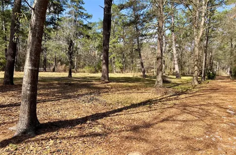 Tbd Kent Drive New Caney TX 77357