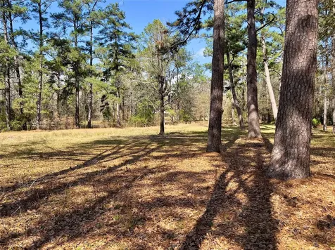 Tbd Kent Drive New Caney TX 77357