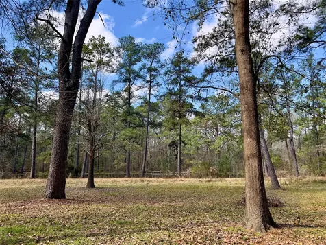 Tbd Kent Drive New Caney TX 77357
