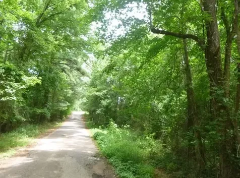 Abst 214 County Road 3222 Jefferson TX 75657