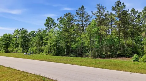 323 Iron Horse Road Willis TX 77358