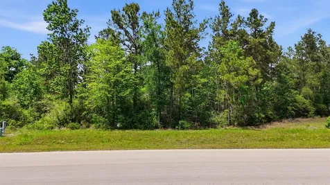 323 Iron Horse Road Willis TX 77358