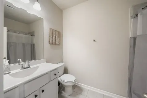 324 N Spotted Fern Drive Montgomery TX 77316