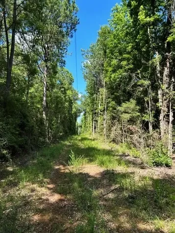 Ab 247-2 Cr 416 San Augustine TX 75972