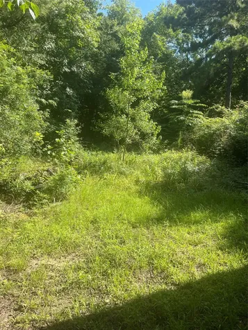 178 Pandora Moscow TX 75960