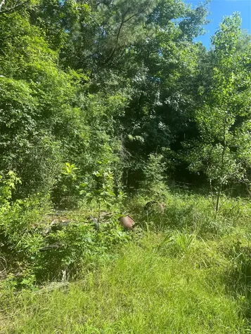 178 Pandora Moscow TX 75960