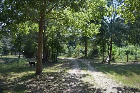 1151 County Line Road Shepherd TX 77371