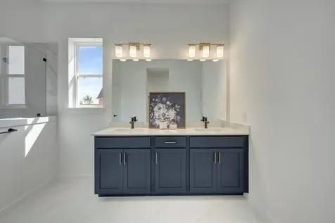 16211 Blue Mistflower Lane Hockley TX 77447
