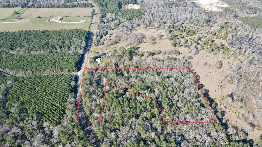 00 Fm 2798 Livingston TX 77351