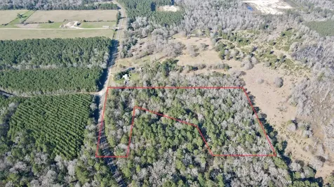 00 Fm 2798 Livingston TX 77351