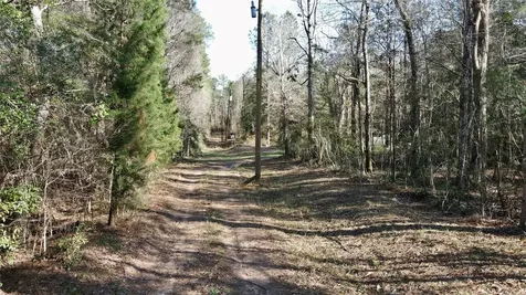 00 Fm 2798 Livingston TX 77351