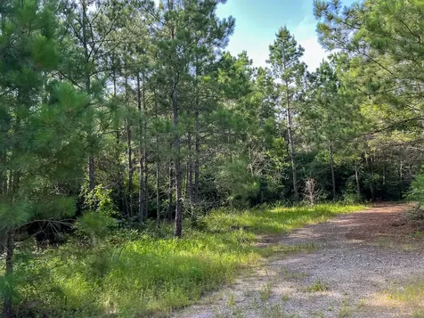 6 Fm 2989 Huntsville TX 77320