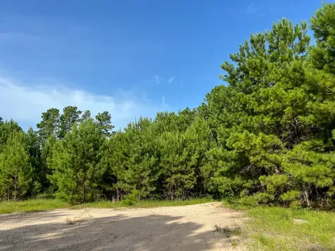 6 Fm 2989 Huntsville TX 77320
