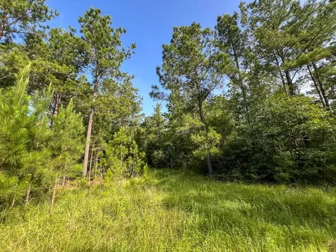6 Fm 2989 Huntsville TX 77320