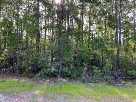 6 Fm 2989 Huntsville TX 77320
