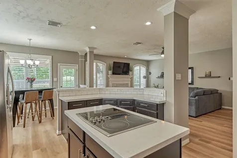 30 Rowan Tree Place The Woodlands TX 77384