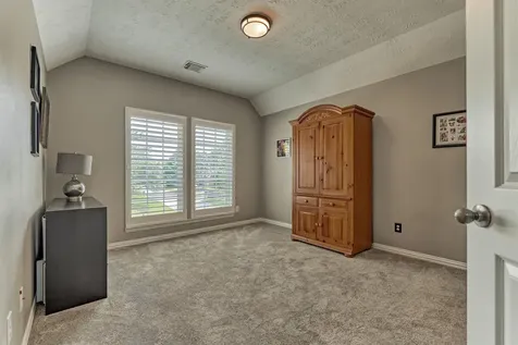 30 Rowan Tree Place The Woodlands TX 77384