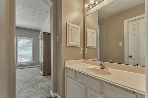 30 Rowan Tree Place The Woodlands TX 77384