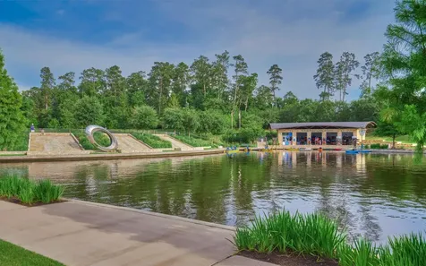 30 Rowan Tree Place The Woodlands TX 77384