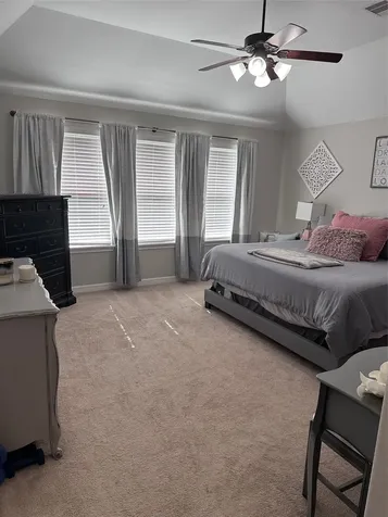 2006 Baron Sky Lane Richmond TX 77469