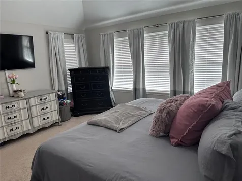 2006 Baron Sky Lane Richmond TX 77469