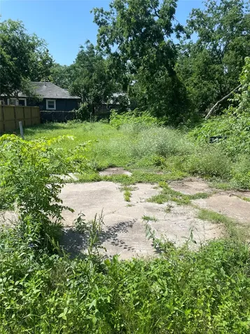 2510 Mills Street Houston TX 77026