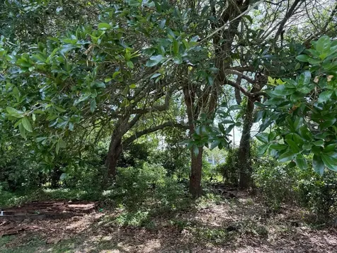 1812 Sholars Avenue Orange TX 77630