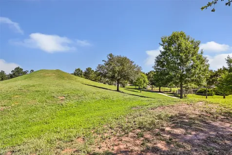 20551 Iron Seat Drive Hockley TX 77447