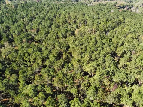781 Sand Country Road Jefferson TX 75657