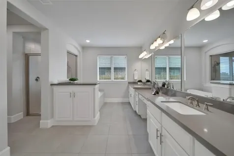 23935 Birchwood Lake Lane Katy TX 77493